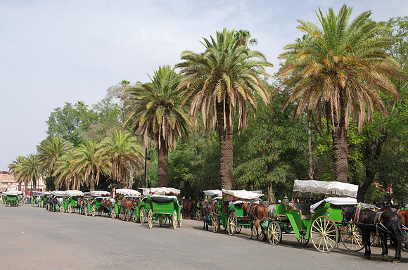 Marrakesh