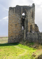 Flint Castle