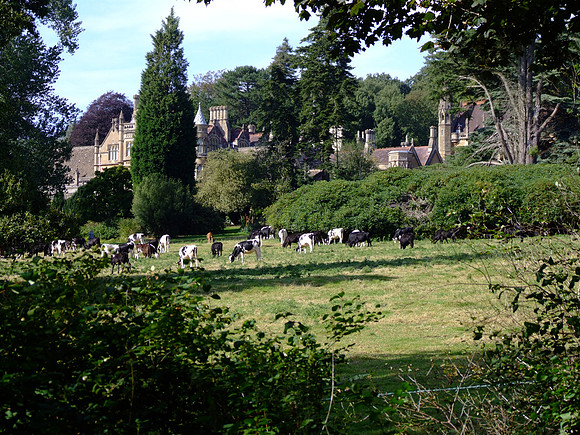 Tyntesfield