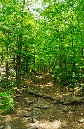 Path up West Rattlesnake, NH