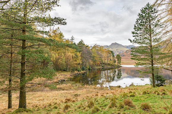 Blea Tarn