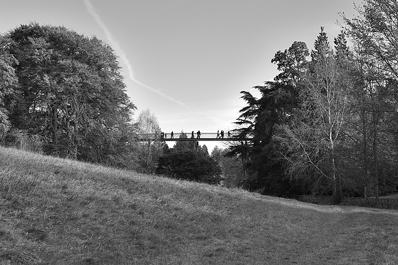 A walk in the country