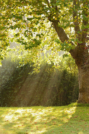 Autumn sunlight in Bristol
