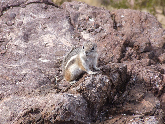 Lake Mead