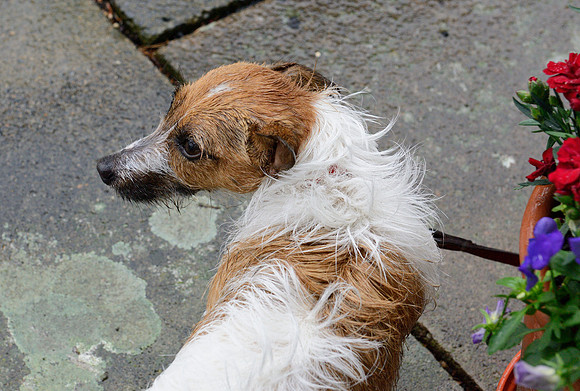 "Please can we go home now."