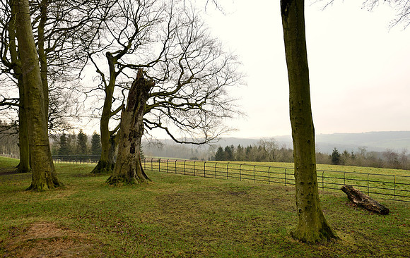 Broadway Tower Country Park