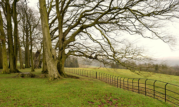 Broadway Tower Country Park