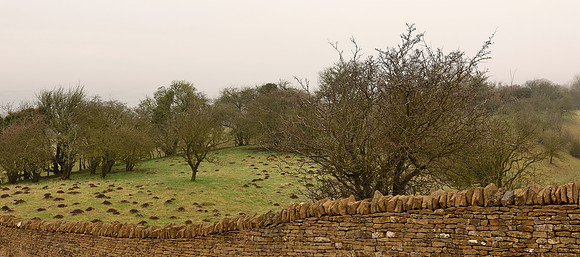 Broadway Tower Country Park