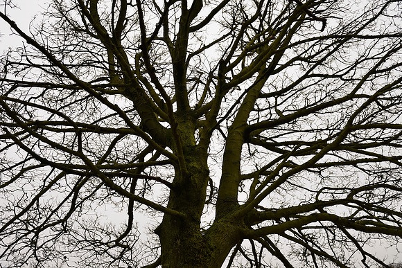 Broadway Tower Country Park