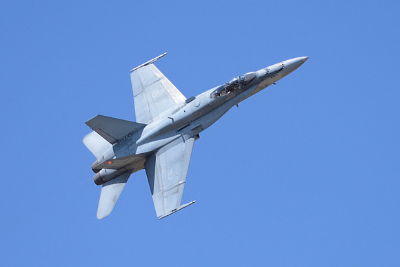 Canadian CF-18 Hornet