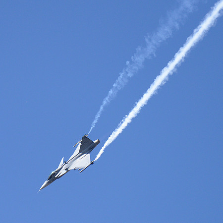 Swedish Air Force JAS-39C/D Gripen