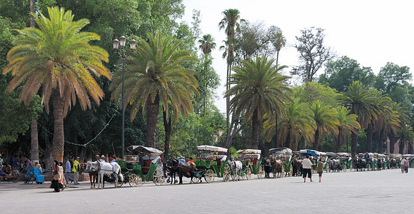 Marrakesh